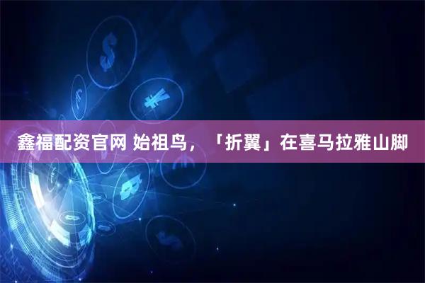 鑫福配资官网 始祖鸟，「折翼」在喜马拉雅山脚