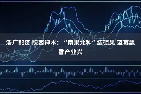 浩广配资 陕西神木：“南果北种”结硕果 蓝莓飘香产业兴