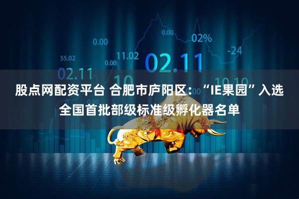 股点网配资平台 合肥市庐阳区：“IE果园”入选全国首批部级标准级孵化器名单