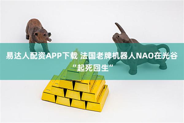 易达人配资APP下载 法国老牌机器人NAO在光谷“起死回生”