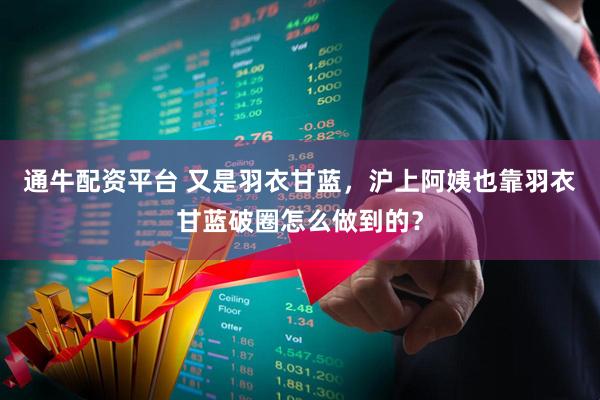 通牛配资平台 又是羽衣甘蓝，沪上阿姨也靠羽衣甘蓝破圈怎么做到的？