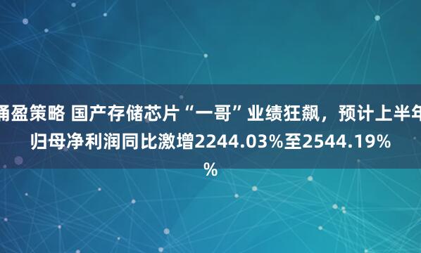 涌盈策略 国产存储芯片“一哥”业绩狂飙，预计上半年归母净利润同比激增2244.03%至2544.19%